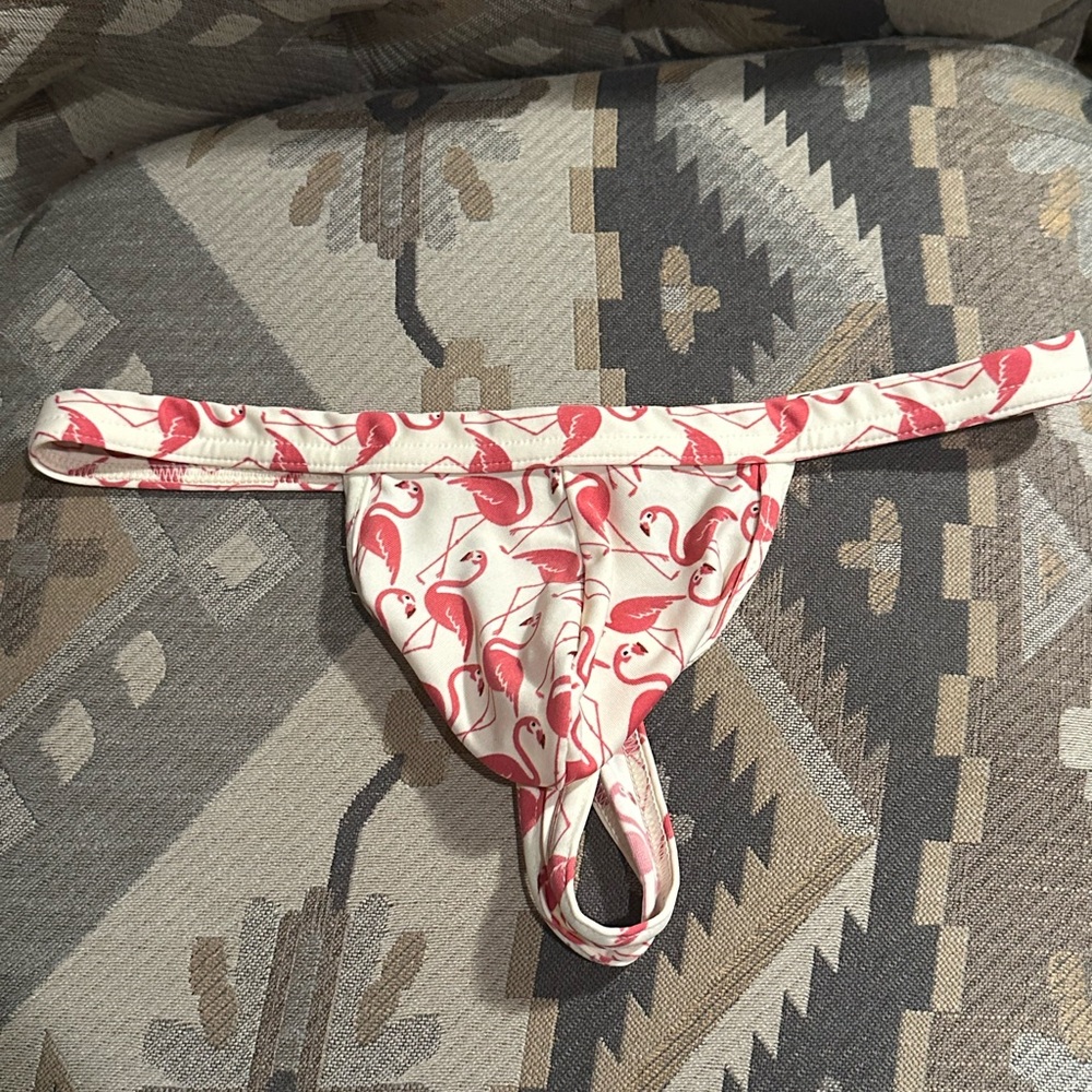 N2N Bodywear Men’s Thong Underwear